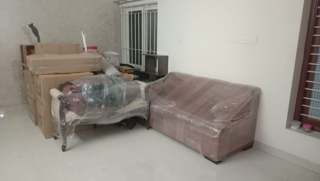 WhatsApp Image 2024-12-30 at 1.27.10 PM (2)